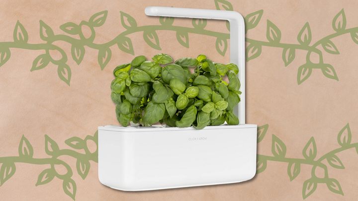The Click and Grow Smart Garden 3 lets you grow fresh herbs and veggies indoors.