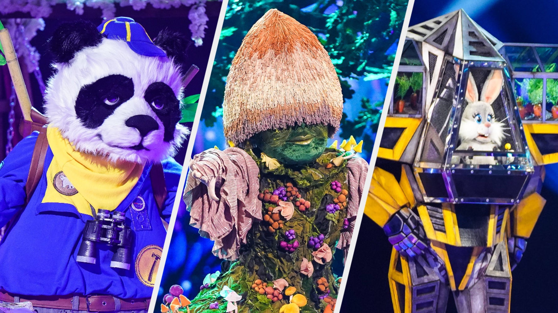Natalie Imbruglia Wins The Masked Singer As Charlotte Church And Markus Feehily Are Also Unmasked During Finale - Vimarsana News