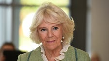 Camilla, Duchess Of Cornwall, Tests Positive For COVID-19 Camilla, Duchess Of Cornwall, Tests Positive For COVID-19