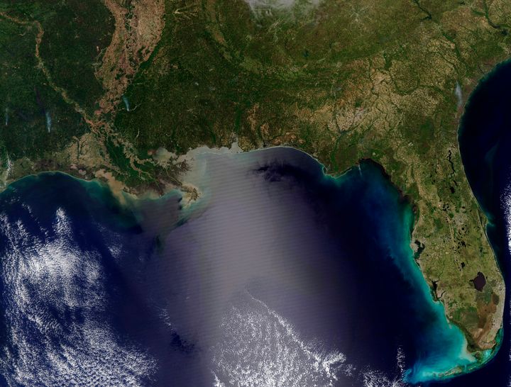 The Gulf of Mexico is one of the United States' most important fisheries and the site of active oil and gas drilling. It's also where chemical companies dumped tens of thousands of toxic waste drums in the 1970s.