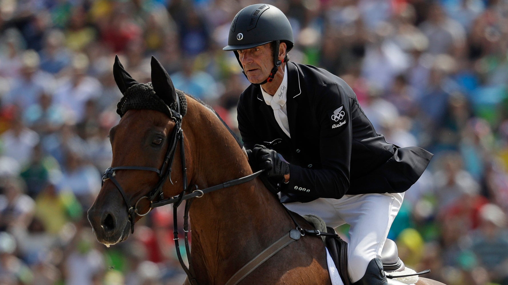 Olympic Equestrian Great Loses Training License For Hitting Horse - Vimarsana News
