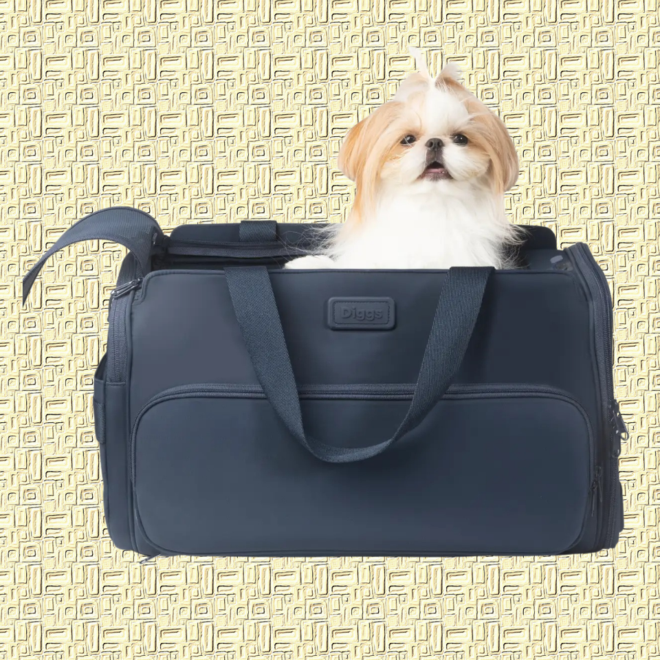 Pet Carriers For Traveling With Dogs And Cats