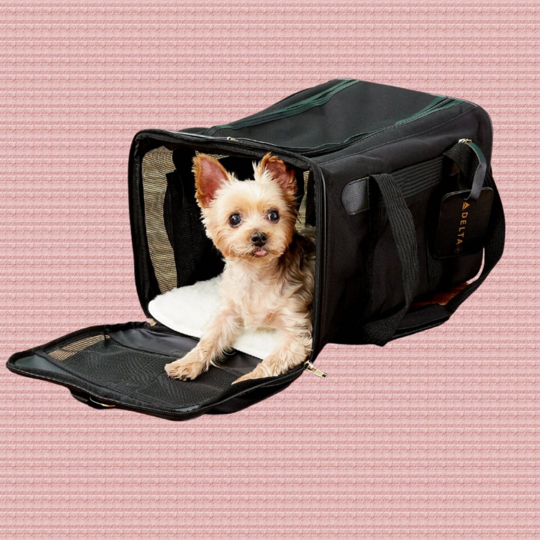 Airline-Compliant Pet Carriers For Traveling With Dogs And Cats ...