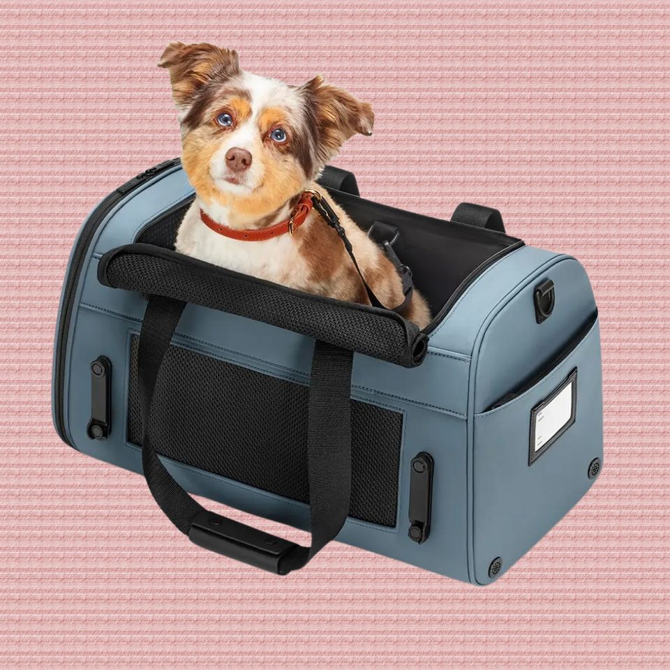 Diggs Passenger Travel Carrier Review: Why This Bag Is A Must-Have For Pets  On The Go - Paw of Approval - The Dodo