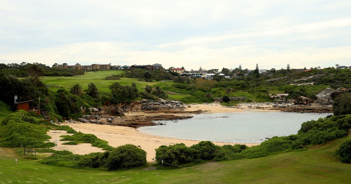 Sydney Swimmer Killed By Shark, City's First Deadly Attack In Nearly 60 Years