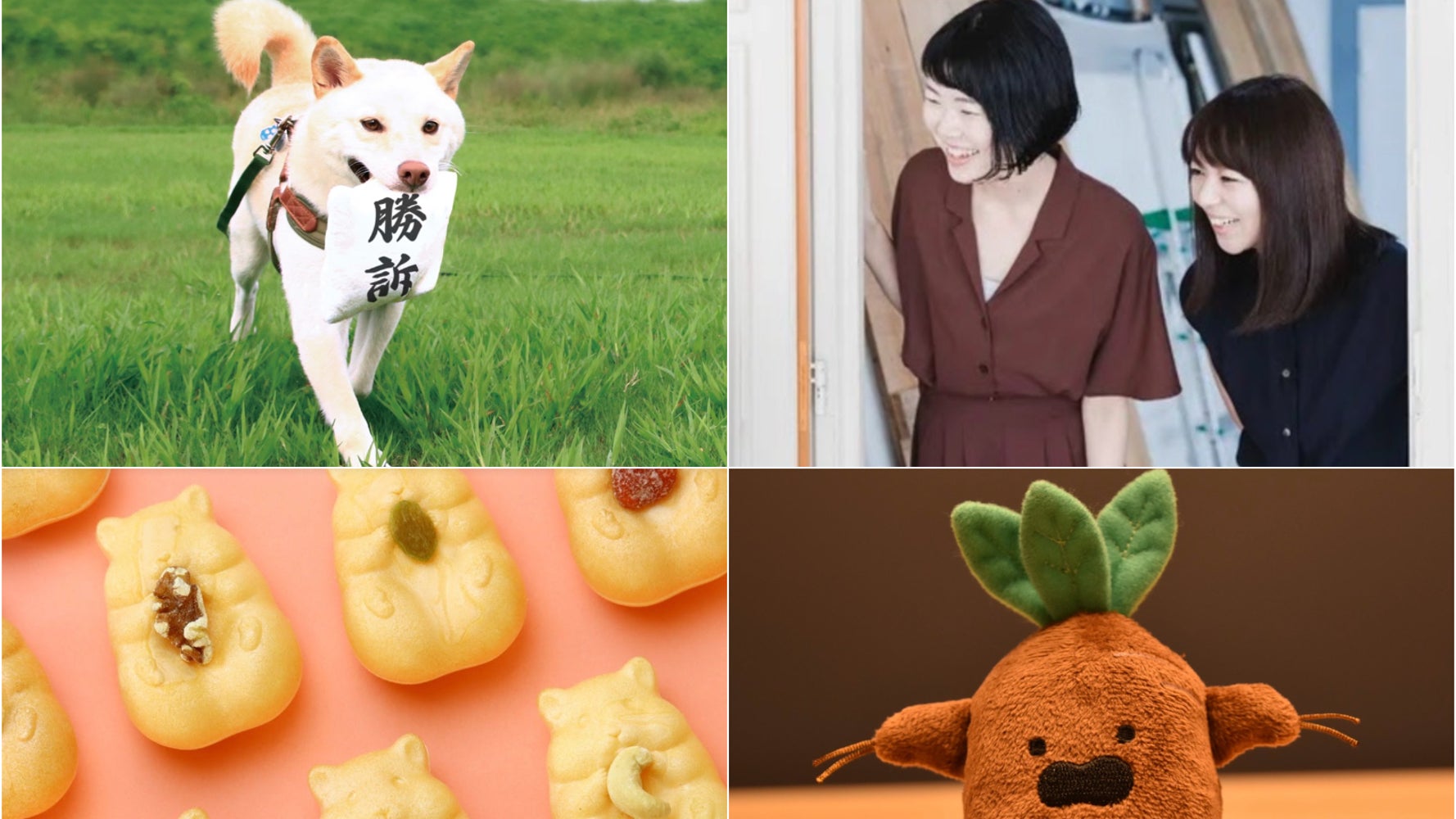 0 Fy4 0r E2lxm 0 Fy4 0r E2lxm