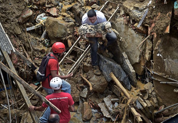 A resident rescues a dog after a mudslide in Petropolis, Brazil.