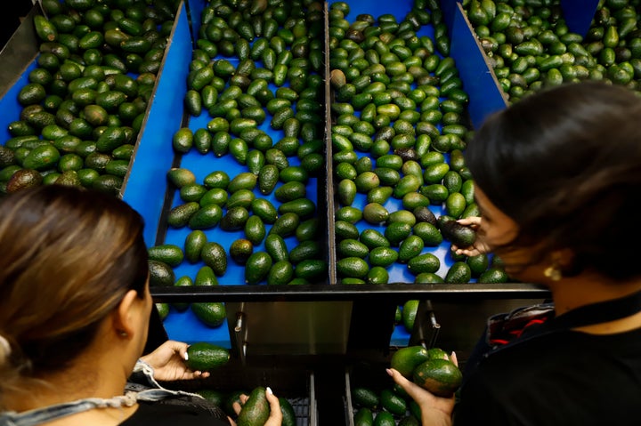 Mexico Avocados Violence