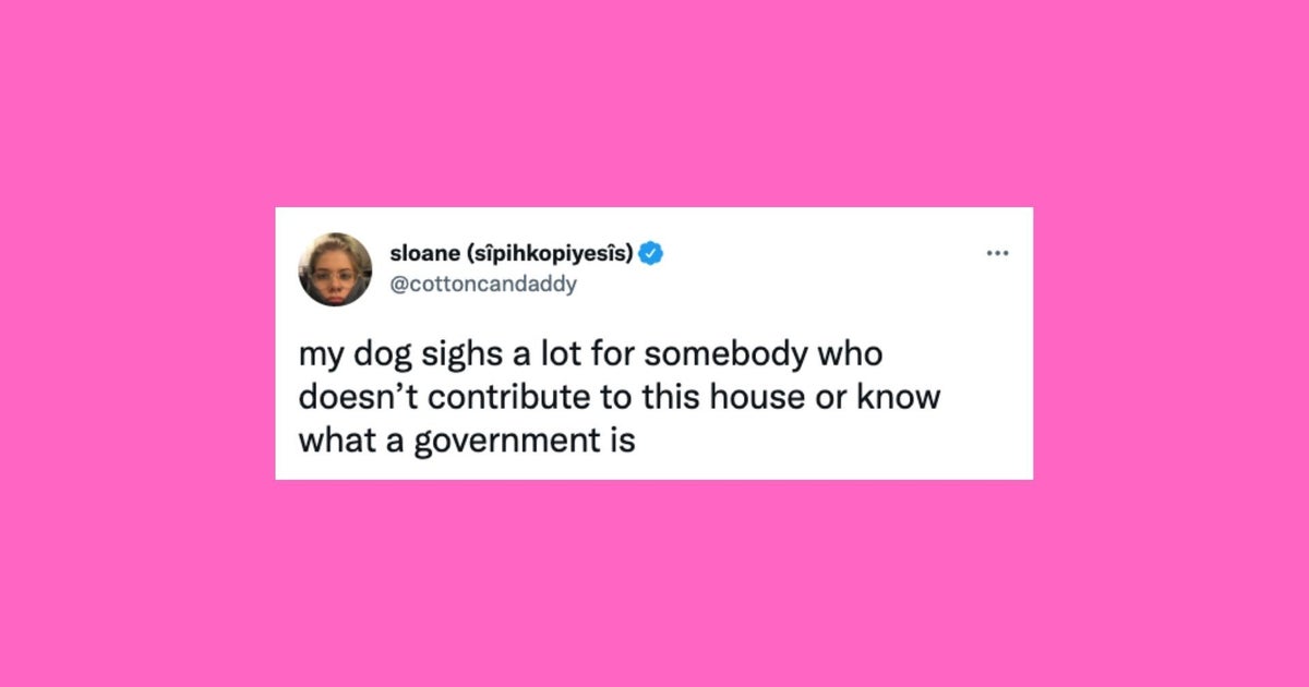 23 Of The Funniest Tweets About Cats And Dogs This Week (Feb. 1218