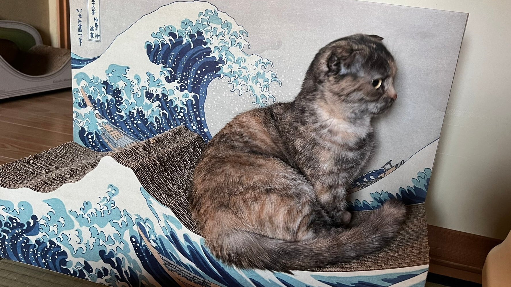 富嶽三十六景の波に乗る猫 親和性はんぱない 違和感仕事して 画像集 ハフポスト