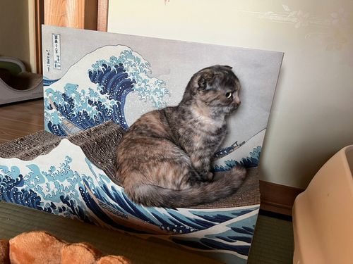 富嶽三十六景の波に乗る猫、親和性はんぱない。「違和感仕事して」【画像集】 | ハフポスト NEWS