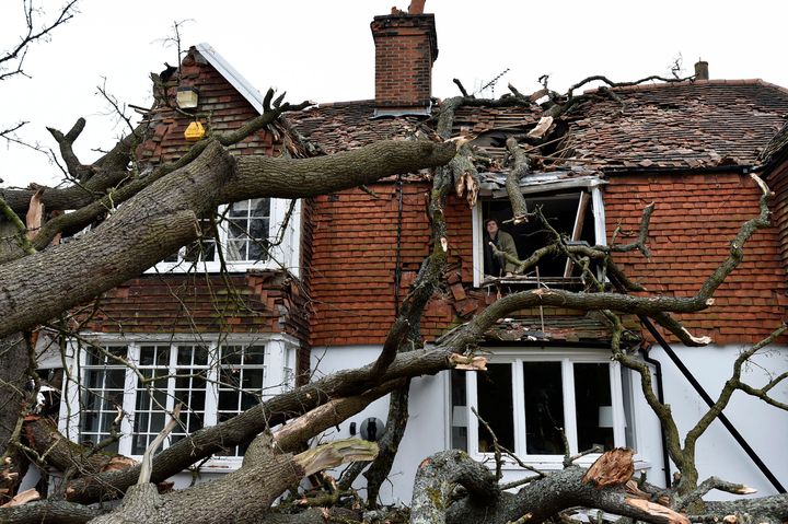 Sven Good, 23, looks out from his bedroom window at the damage caused to the family home a day after a 400-year-old oak tree in the garden was uprooted by Storm Eunice, in Stondon Massey, near Brentwood, Essex, England, Saturday Feb. 19, 2022. 
