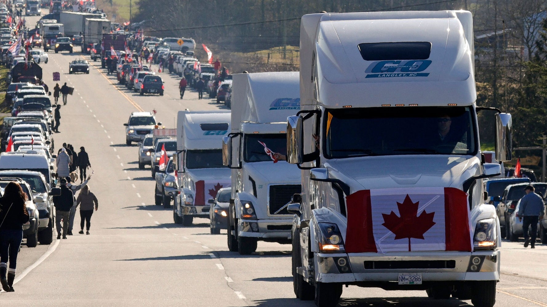 Canadian Official Schools Truckers On How Their Protests Aren't About Freedom - Vimarsana News