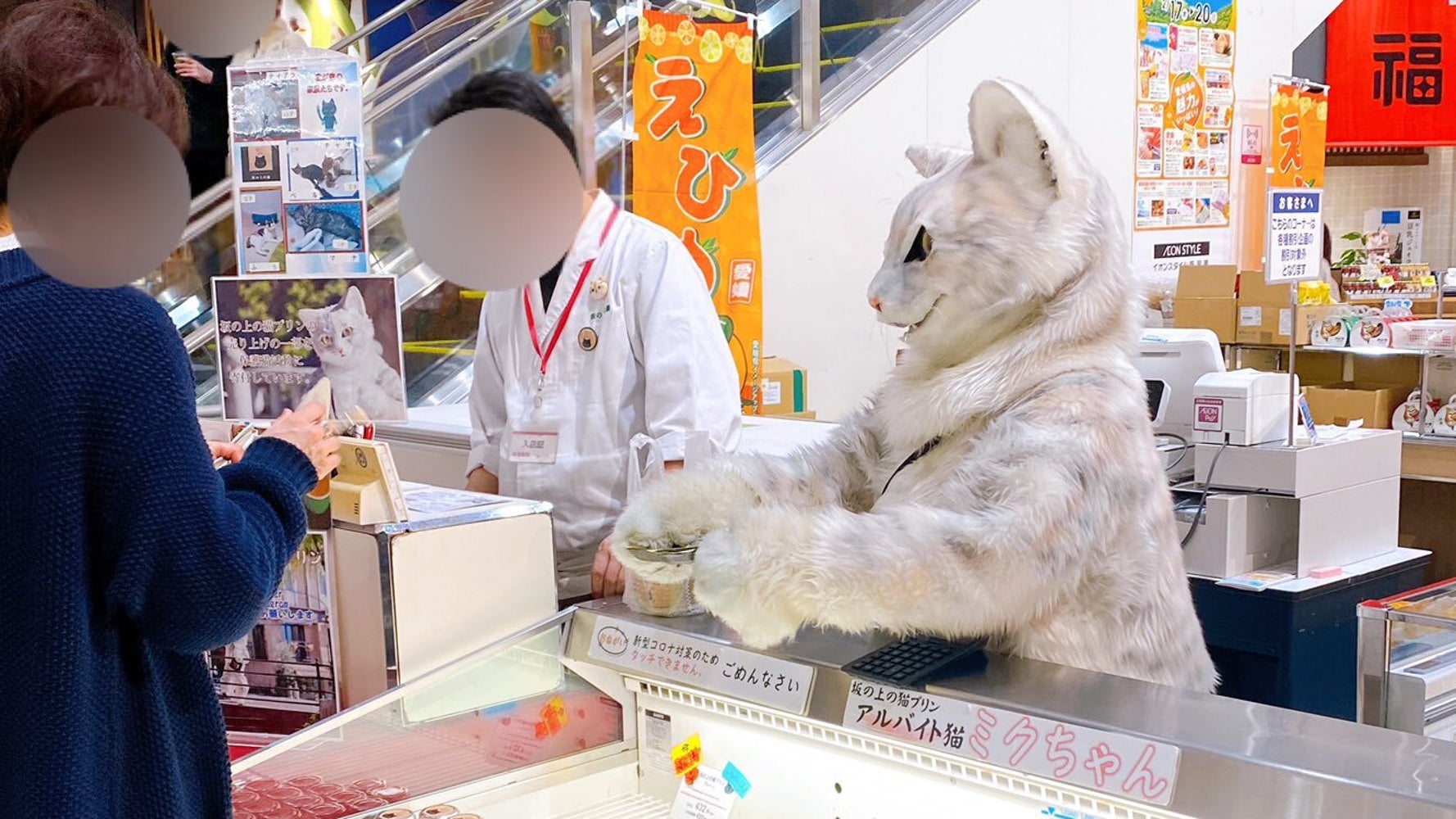 リアルすぎる猫店員 に込めた思いが深かった 全国に出張してプリンを販売するオーナーに聞いた ハフポスト News リアルすぎる猫店員 に込めた思いが深かった 全国に出張してプリンを販売するオーナーに聞いた ハフポスト News