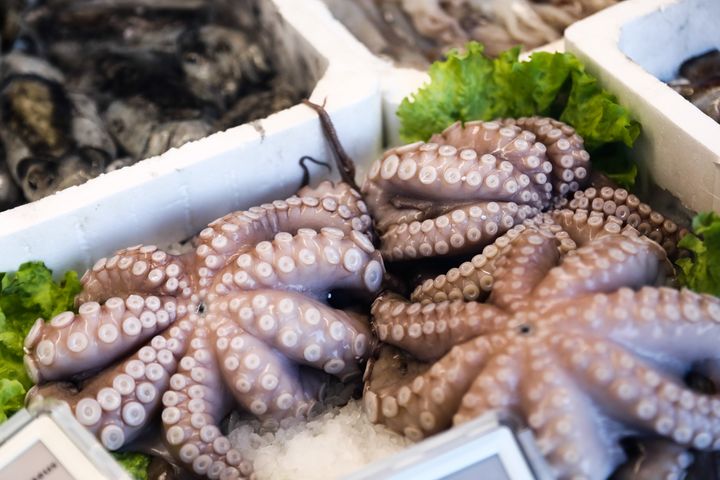 Octopus for sale are seen at a stand in Milan, Italy on November 26, 2021. (Photo by Jakub Porzycki/NurPhoto via Getty Images)