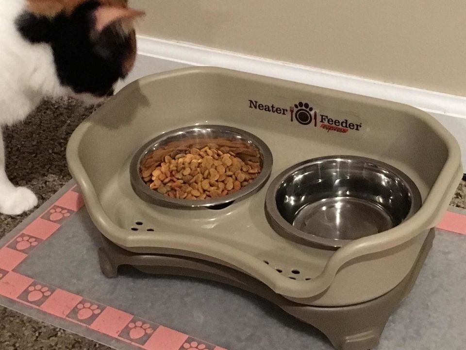 An elevated pet food bowl if your pet happens to be a messy eater