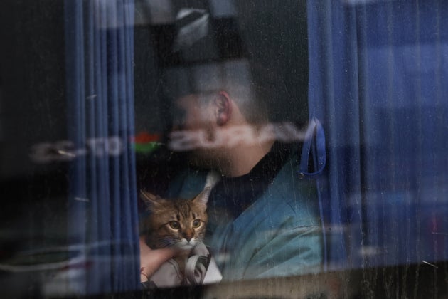 Απελπισμένοι πολίτες εγκαταλείπουν την χώρα με τα κατοικίδιά τους 