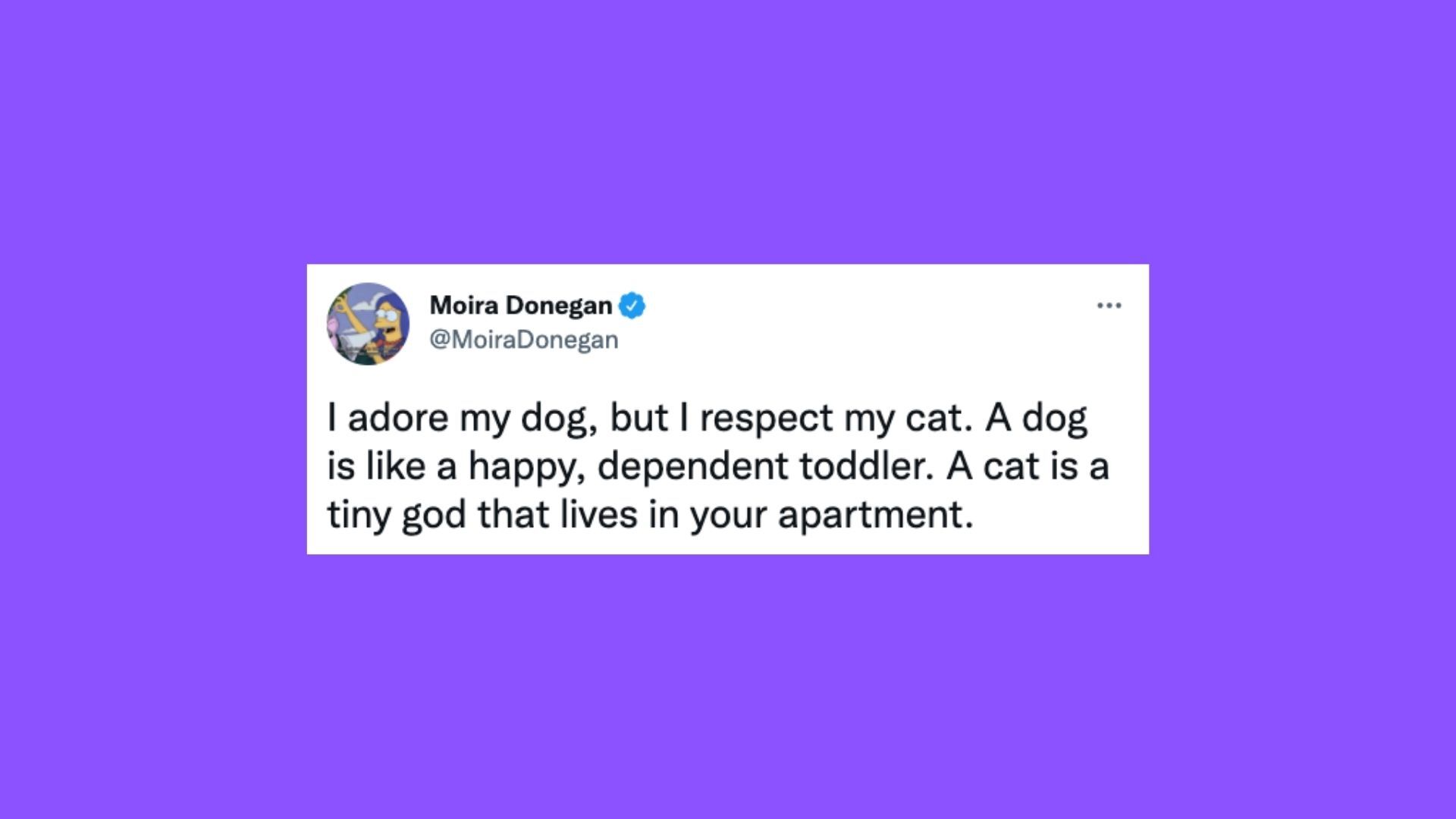 22 Of The Funniest Tweets About Cats And Dogs This Week (Feb. 19-25 ...