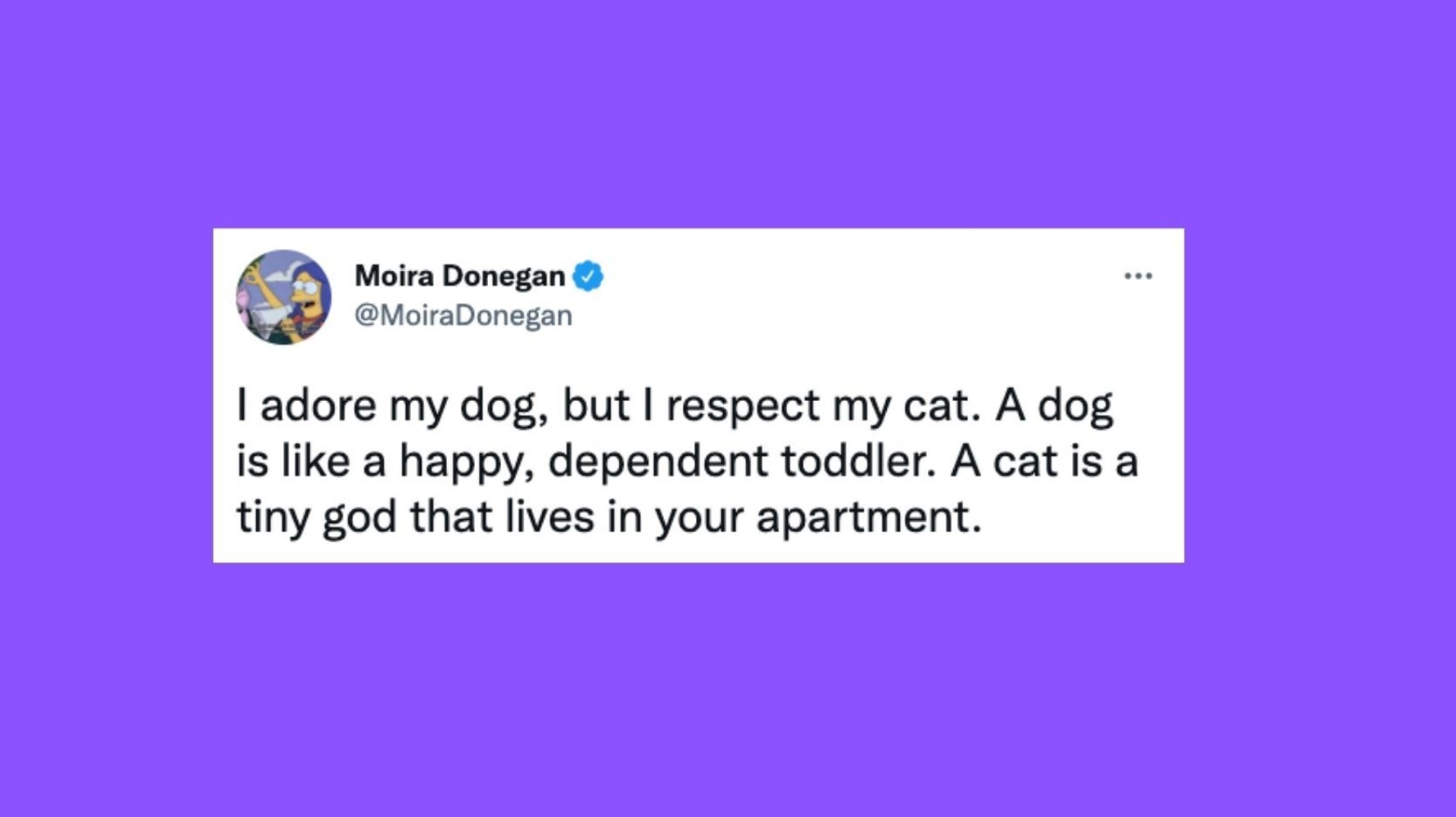 22 Of The Funniest Tweets About Cats And Dogs This Week (Feb. 19-25 ...