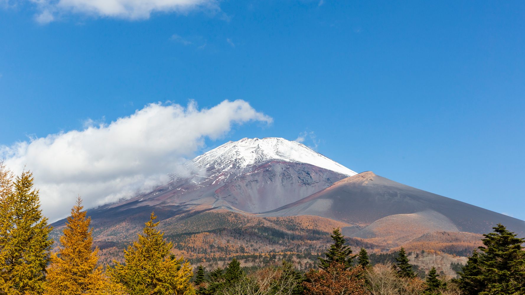 富士登山を新しい体験に 世界が観光再開に動くなか 安心を提供しビジネスチャンスを広げるit技術に迫る ハフポスト Project