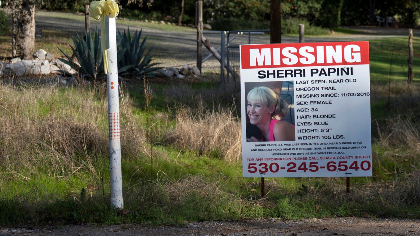 Woman Faked Kidnapping, Defrauded California, Prosecutors Say - Vimarsana News