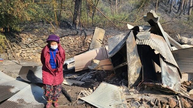 5일 오전 10시께 경북 울진군 검성리 마을주민 이홍자(87)씨가 화재로 내려앉은 자신의 집을 둘러본 후 황망한 마음으로 발길을 돌리고 있다. 박지영
