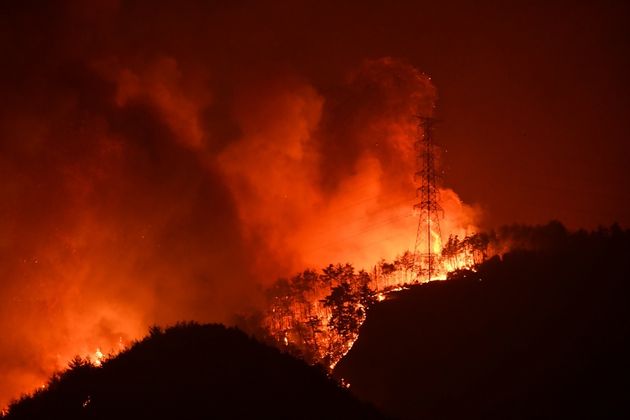 On the 4th, a forest fire spread to the mountain behind Samcheok 'Sanyang Village'.