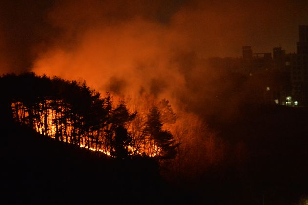 On the 4th, a forest fire in Mt. Ducheon-ri, Buk-myeon, Uljin-gun, Gyeongsangbuk-do, spread with strong winds.