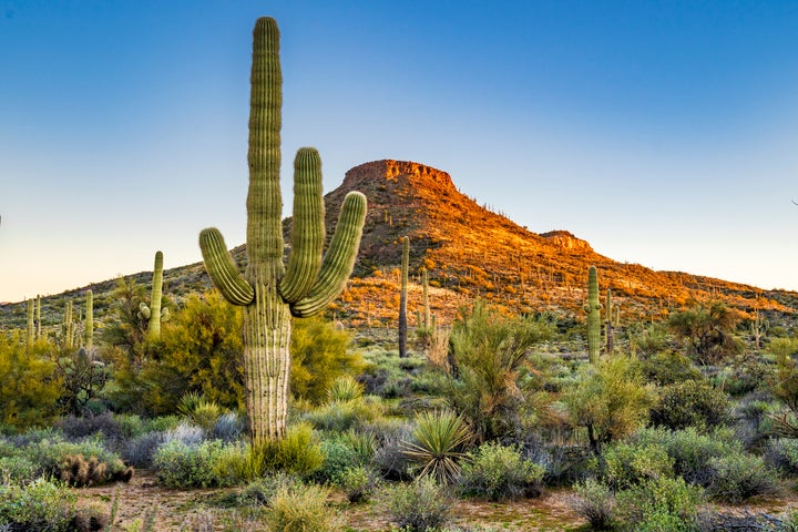 Heading to the Grand Canyon State? Read this first.