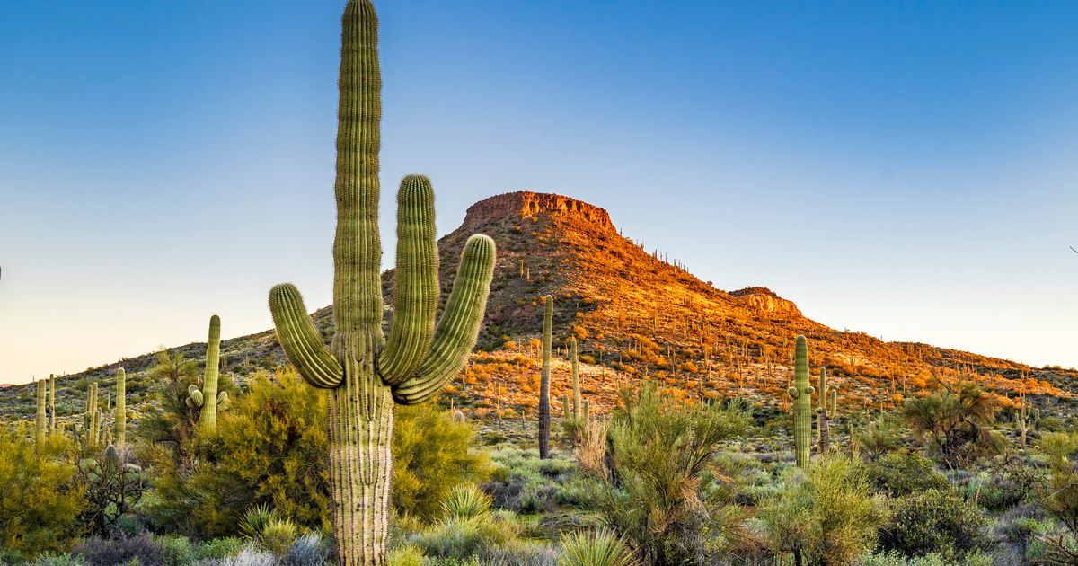 Mistakes Tourists Make While Visiting Arizona