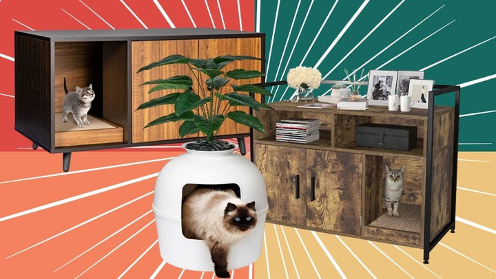 Cat Essentials Like Litter Boxes, Feeding Bowls, Carrying Cases, And More