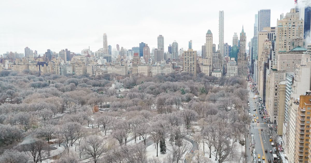 In New York, a series of fires in the middle of Central Park