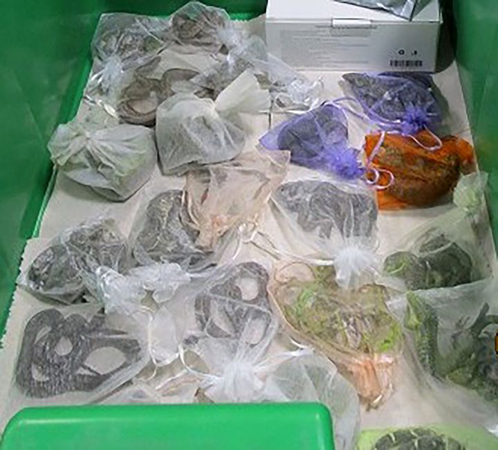 Nine snakes and 43 horned lizards were seized.