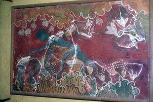 Αυτή η ανακριβή ανακατασκευή μιας μινωικής τοιχογραφίας από την Κνωσό της Κρήτης απεικονίζει έναν άνδρα, που θα έπρεπε να είναι πίθηκος, να μαζεύει τη συγκομιδή του κρόκου.