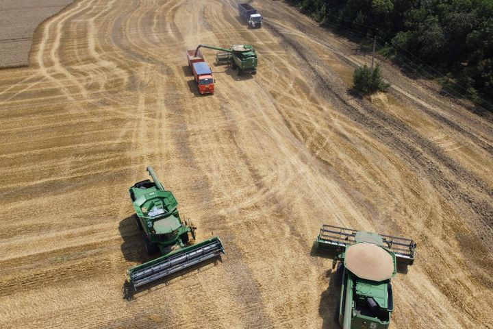 FILE - Farmers use combines to harvest a wheat field near the village Tbilisskaya, Russia, on July 21, 2021. Russia accounts for 30% of wheat exports, which means that poorer countries that depend on imports could face major supply shocks. (AP Photo/Vitaly Timkiv, File)
