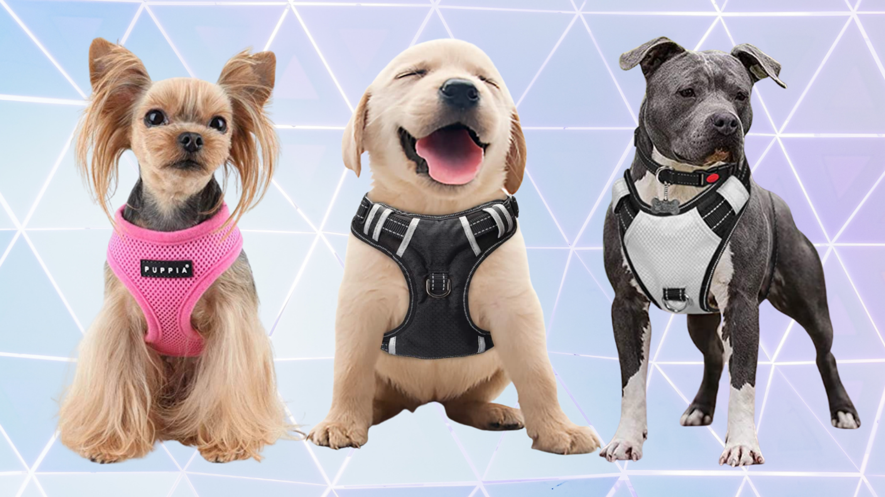 Frisco soft mesh dog best sale harness