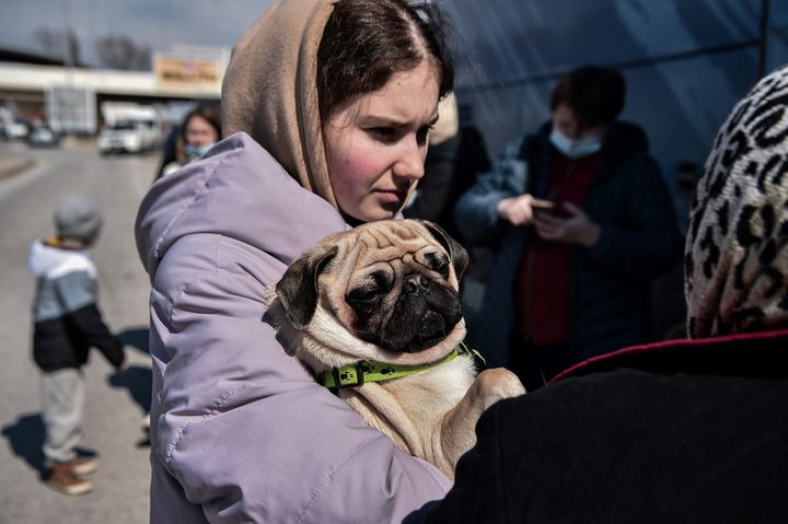 A Ukrainian refugee holds her dog following her arrival by bus at Promachonas Greece-Bulgarian border post (Photo by SAKIS MITROLIDIS/AFP via Getty Images)