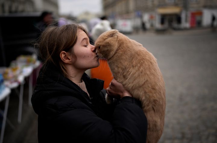 Julia Lazarets plays with her cat Gabriel, after fleeing Ukraine and arriving at the train station in Przemysl, Poland, Tuesday, March 8, 2022. 