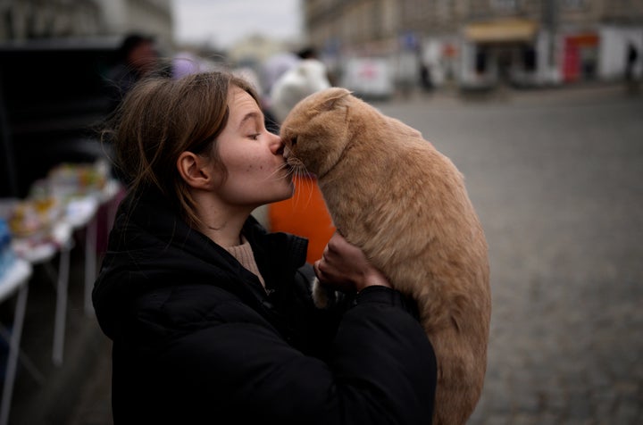 Julia Lazarets plays with her cat Gabriel, after fleeing Ukraine and arriving at the train station in Przemysl, Poland, Tuesday, March 8, 2022. 