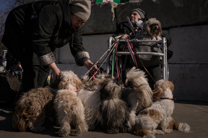 Antonina, 84 years-old, sits in a wheelchair after being evacuated along with her twelve dogs from Irpin, at a triage point in Kyiv, Ukraine, Friday, March 11, 2022. (AP Photo/Vadim Ghirda)