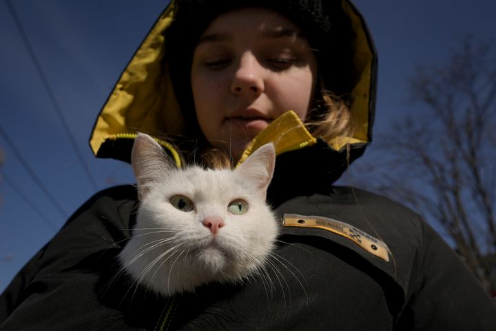 A girl who was evacuated from Irpin keeps a cat warm inside her jacket at a triage point in Kyiv, Ukraine, Friday, March 11, 2022. (AP Photo/Vadim Ghirda)