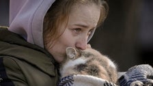 Gut-Wrenching Photos Show Ukrainians Fleeing War With Pets In Tow Gut-Wrenching Photos Show Ukrainians Fleeing War With Pets In Tow