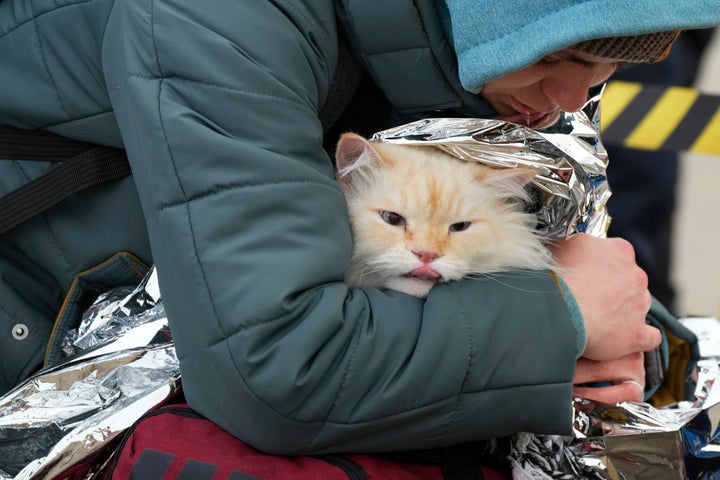 Ukrainian Anastasia Klimenko covers a cat named Amur with a blanket after fleeing the war from neighbouring Ukraine, at the border crossing in Palanca, Moldova, Thursday, March 10, 2022. (AP Photo/Sergei Grits)