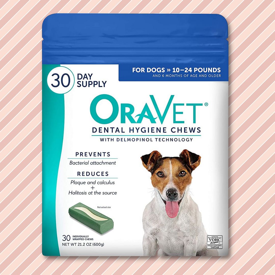 healthiest dental sticks for dogs