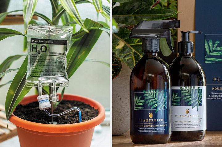 The must-have tools for making it easier to keep your houseplants alive