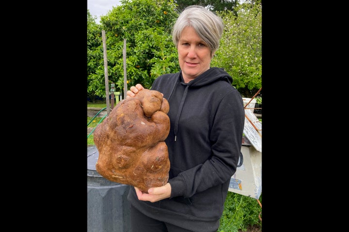 Donna Craig-Brown holds "Doug" what was believed to be the world's largest potato in the garden of her small farm near Hamilton, New Zealand on Nov. 3, 2021. Donna and her husband Craig have had their dreams turned to mash after Guinness wrote to say that scientific testing had shown it wasn't, in fact, a potato after all, but a tuber of a type of gourd. (Colin Craig-Brown via AP)