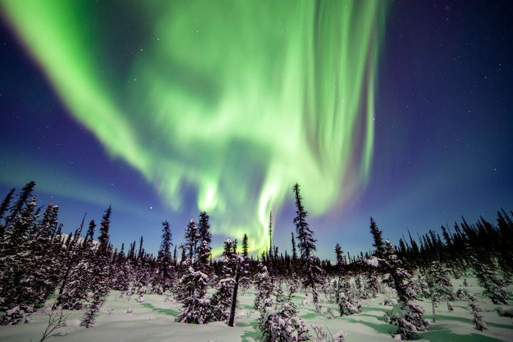 The Aurora Borealis light up the sky over Denali National Park in Alaska.