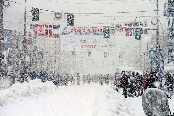 Ohio musher rescued from Iditarod during final stage