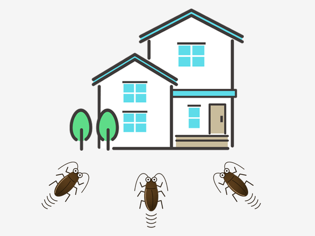 ウェザーニュースより