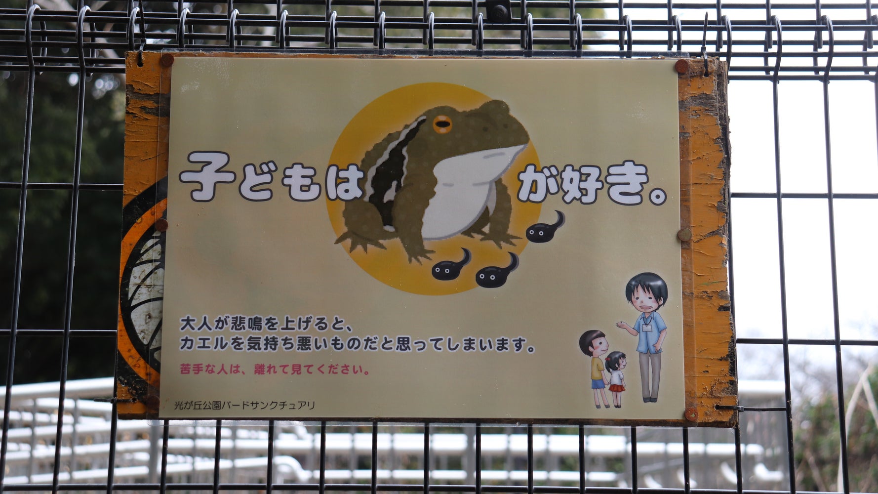 子どもはヒキガエルが好き そんな看板が話題に 都立公園に設置された理由は ハフポスト News